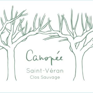 Canopée – Saint Véran