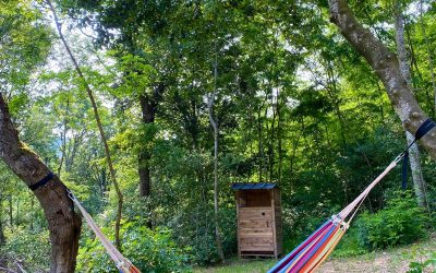 Cabane (4)